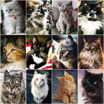 Алмазная картина Кот 5D DIY Алмазная вышивка Распродажа Вышивка крестиком Животные Стразы Мозаика Комплект украшения дома Full Round 20x25CM