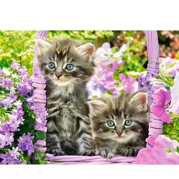 Алмазная картина Кот 5D DIY Полный квадрат Алмазная вышивка Животное Рукоделие Украшение стены Full Round 20X30CM