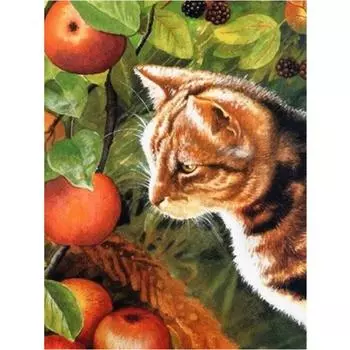 Алмазная картина Кот Яблоко 5D Diy Алмазная вышивка Животное Мозаика Картина Украшение дома 20X30CM