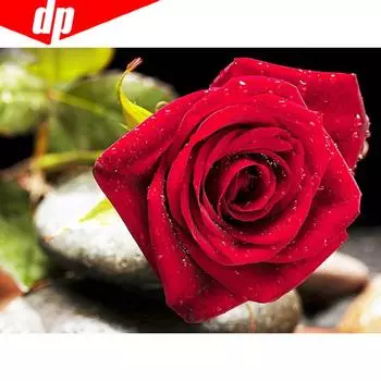 Алмазная картина Красная роза Стразы Алмазная мозаика Полный круглый 5D DIY Алмазная вышивка 20X30CM