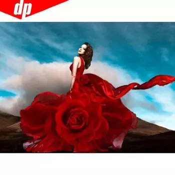 Алмазная картина Красота Красное свадебное платье Портрет Алмазная мозаика Алмазная вышивка 20X30CM