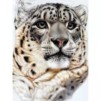 Алмазная картина, круглые камни, животные, алмазная вышивка, полный дисплей, изображения тигра Full Round 20x25CM