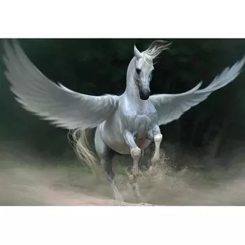 Алмазная картина Летающая лошадь DIY 5D Вышивка крестиком полная квадратная/круглая Алмазная мозаика украшение дома искусство Full Square (20X30CM)
