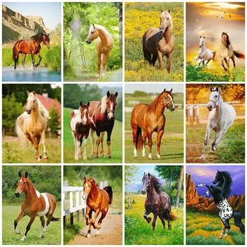 Алмазная картина лошадь картина из стразов полная квадратная алмазная вышивка животное вышивка крестом мозаичный декор для дома Full Round 20X30CM
