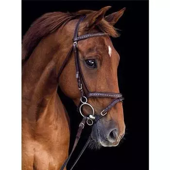 Алмазная картина Лошадь Украшение дома Мозаика Животное Вышивка Подарок ручной работы 20X30CM