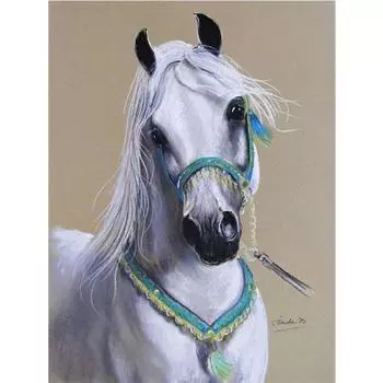 Алмазная картина Лошади Алмазная вышивка Мозаика Животные 5D Наборы для творчества «сделай сам» 20X30CM