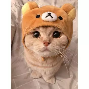 Алмазная картина милый кот DIY 5D вышивка крестиком все квадратные / круглые алмазная мозаика домашнее украшение для домашних животных искусство Full Square (20X30CM)