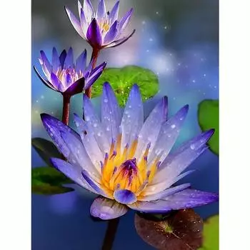 Алмазная картина, мозаика, цветок водяной лилии, полная круглая картина, вышивка, творческое хобби, украшение дома 30x40 см/12x16 дюймов 30x40cm NO Frame