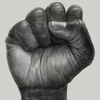 Алмазная картина «Мы сила кулак» Животное Алмазная вышивка Крестом Рукоделие 20X30CM