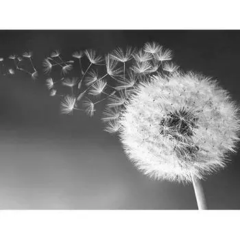 Алмазная картина Одуванчик 5D DIY Алмазная вышивка Мозаика Изображение Горный хрусталь 30*40 cm