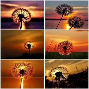 Алмазная картина Одуванчик, полная квадратная мозаика, художественная алмазная вышивка заката, пейзажная картина из горного хрусталя, домашний декор Full Round 20X30CM красный