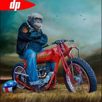 Алмазная картина Орангутанг Мотоцикл Мультфильм 5D DIY Алмазная вышивка Продажа Созвездие 30x30CM