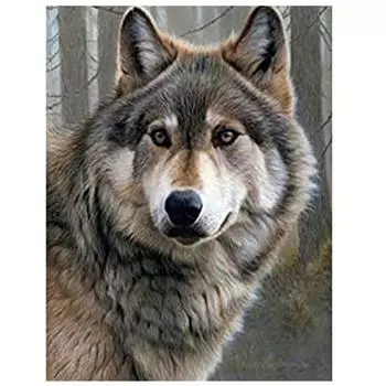 Алмазная картина Пейзаж 5D Алмазная картина Мозаика Вышивка крестиком Алмазная вышивка Картина 15*20cm