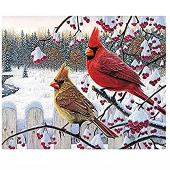 Алмазная картина Пейзаж 5D Алмазная картина Набор для вышивки крестом Даймондовая картина Полная дрель 15*20cm