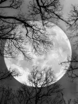 Алмазная картина Пейзаж 5D Алмазная картина Полная дрель Наборы для вышивки крестом Алмазная живопись Полная дрель 15*20cm