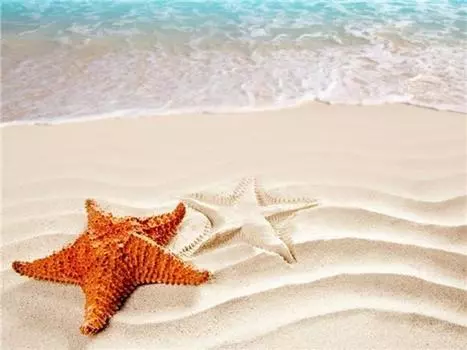 Алмазная картина Пейзаж Алмазная картина 5D Полная рукоделие Алмазная вышивка Картина 15*20cm