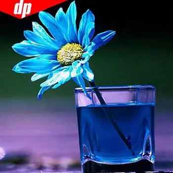 Алмазная картина Пейзаж Алмазная вышивка Чашка и цветок 5D DIY Изображение 30x30CM