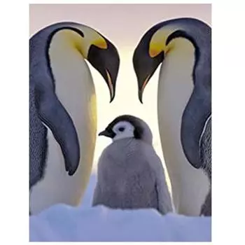 Алмазная картина Пейзаж Алмазная живопись Полная дрель Алмазная картина для вышивки крестиком Полная дрель 15*20cm