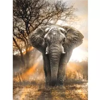 Алмазная картина Полная алмазная вышивка Животное Слон 5D DIY Мозаика Горный хрусталь Украшение дома 20X30CM