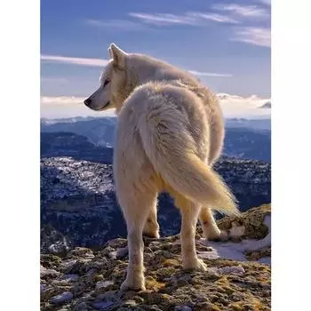 Алмазная картина, полная дрель, квадратные стразы, вышивка, сделай сам, алмазное искусство, настенный художественный декор Full Round 20X30CM