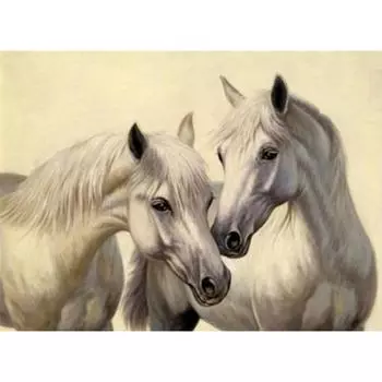 Алмазная картина полная дрель лошадь Алмазная вышивка 20X30CM