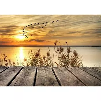 Алмазная картина Полная круглая Алмазная вышивка Крестом 20X30CM