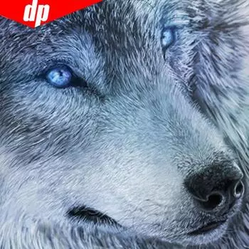 Алмазная картина Полная круглая голова волка Алмазная мозаика Животное Алмазная вышивка 30x30CM