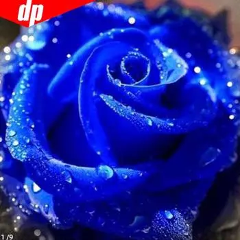 Алмазная картина, полная круглая голубая роза, алмазная вышивка, мозаика, полный дисплей, цветочная картина 20x20CM