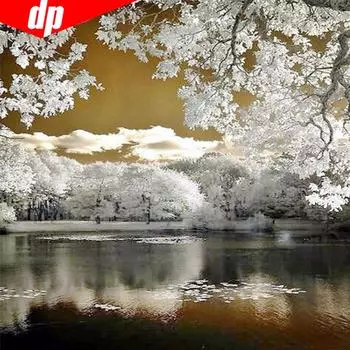 Алмазная картина Полная круглая мозаика Зимнее озеро Живописное Алмазная вышивка 30x30CM