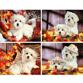 Алмазная картина Полная квадратная собака Вышивка крестом Животное Стразы Подарок Домашний Декор 5d Diy Ручная работа Настенное Искусство 01-20X30CM