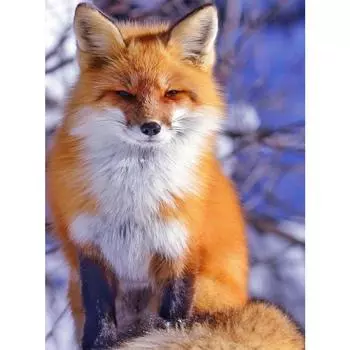 Алмазная картина Полная площадь Алмазная вышивка Украшение дома 5D DIY Изображение Горный хрусталь Флаг Мозаика Full Round 20X30CM