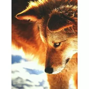 Алмазная картина Full Drill 5D Diy Алмазная вышивка Наклейка на стену Мозаика Подарок Европейский домашний декор Full Round 20X30CM