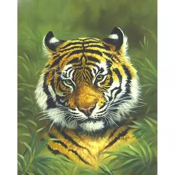 Алмазная картина Полный дрель Круглый Тигр в траве Мозаика DIY Алмазная картина Вышивка крестом 20X30CM