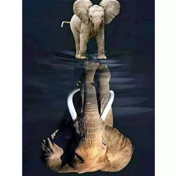 Алмазная картина Полный дрель Слон Broderie Diamant Мультфильм Алмазная вышивка крестом Современный домашний декор 20X30CM