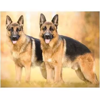 Алмазная картина Полный круглый Diy Алмазная вышивка Алмазная мозаика Декор для столовой 20X30CM