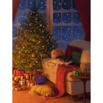 Алмазная картина Рождественская полная квадратная Алмазная вышивка Санта-Клаус Rinestone Мозаика Мультфильм Ремесленный комплект Full Round 20X30CM