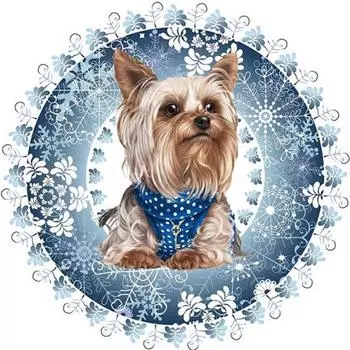 Алмазная картина с изображением животных, мультяшная собака, ручная работа, стразы, икона, украшение, полный набор, макет, дисплей, настенный стикер 20X30CM