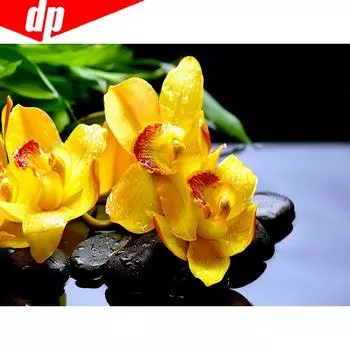 Алмазная картина с круглыми камнями Цветы Картины из страз Алмазная вышивка 20X30