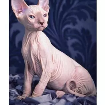 Алмазная картина Сфинкс Кот картина стразами Алмазная вышивка наборы крестиков Алмазная мозаика полная круглая дрель подарок Full Round 20x30CM