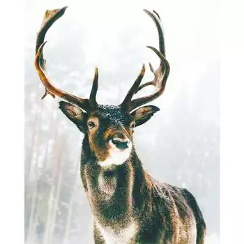 Алмазная картина Снежный пейзаж Рождественская полная алмазная мозаика Пейзаж Алмазная вышивка 20X30CM