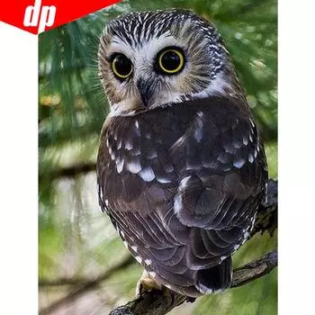 Алмазная картина Сова Горный хрусталь Мозаика Алмазная вышивка Крестом 20X30CM