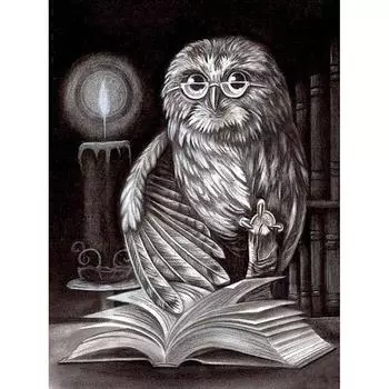 Алмазная картина Сова Книга Полный дрель Круглые инструменты Алмазная вышивка Животные Фотографии Стразы 20X30CM