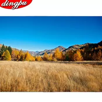 Алмазная картина Тигр, полная круглая/круглая дрель, Новое поступление, Алмазная вышивка, люди, 2019, картина со стразами и бисером 20X30CM