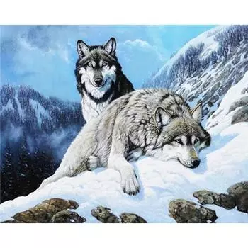 Алмазная картина Волк Мозаика Животное Украшение дома Вышивка Алмазное искусство Подарок ручной работы 20X30CM