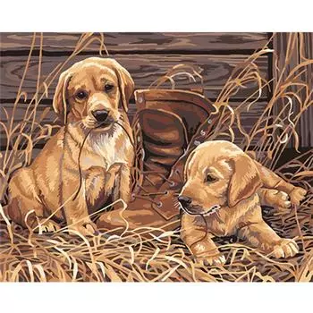 Алмазная картина Вышивка крестом 5d Diy Алмазная вышивка Милый питомец Алмазная мозаика Собака 20X30CM