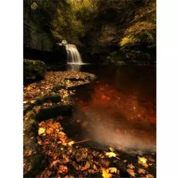 Алмазная картина Вышивка крестом 5D Лесная рукоделие Полная дрель Алмазная вышивка 20X30CM