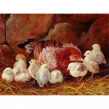 Алмазная картина, вышивка крестом, фермерские животные, курица, полная круглая дрель, Алмазная вышивка 20X30CM