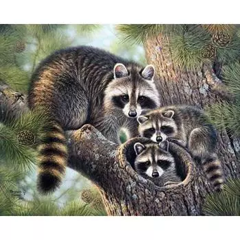 Алмазная картина, вышивка крестом, горный хрусталь, еноты на дереве, Алмазная вышивка, мозаика, домашний декор 20X30CM