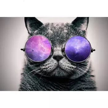 Алмазная картина, вышивка крестом, Кот в очках, круглая Алмазная мозаика, 5D DIY 20X30CM