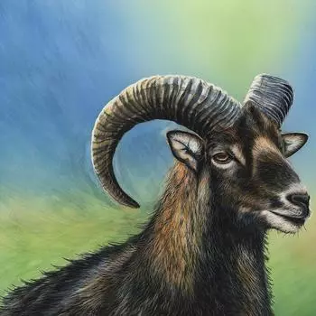 Алмазная картина, вышивка крестом, Коза, Овца, Алмазная мозаика, вышивка животных 30x30CM